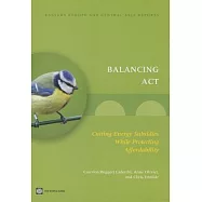 Balancing Act: Cutting Energy Subsidies While Protecting Affordability