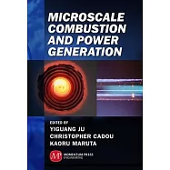 Microscale Combustion and Power Generation