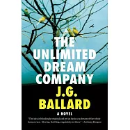 The Unlimited Dream Company