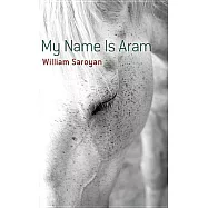 My Name Is Aram