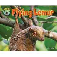 Flying Lemur