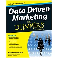 Data Driven Marketing for Dummies