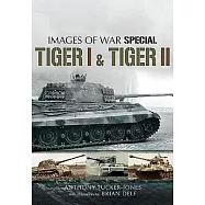 Tiger I and Tiger II: Rare Photographs from Wartime Archives