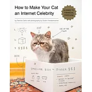How to Make Your Cat an Internet Celebrity: A Guide to Financial Freedom