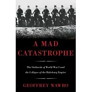 A Mad Catastrophe: The Outbreak of World War I and the Collapse of the Habsburg Empire