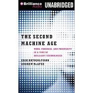 The Second Machine Age: Work, Progress, and Prosperity in a Time of Brilliant Technologies: Library Edition