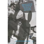 Edward Said on the Prospects of Peace in Palestine and Israel