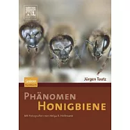 Phanomen Honigbiene