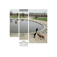 Tsai Ming-Liang and a Cinema of Slowness