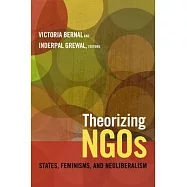 Theorizing Ngos: States, Feminisms, and Neoliberalism