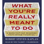 What You’re Really Meant to Do: A Road Map for Reaching Your Unique Potential