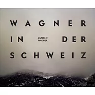 Antoine Wagner: Wagner in Der Schweiz