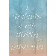 A Constellation of Vital Phenomena