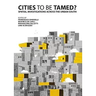 Cities to Be Tamed?: Spatial Investigations Across the Urban South