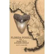Florida Fossils: Shark Teeth & Marine Animals