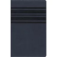 Large Print Bible-NIRV