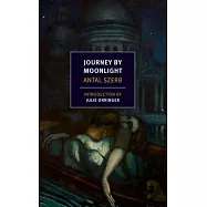 Journey by Moonlight