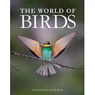The World of Birds