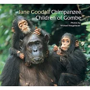 The Chimpanzee Children of Gombe: 50 Years With Jane Goodall at Gombe National Park