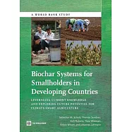 Biochar Systems for Smallholders in Developing Countries: Leveraging Current Knowledge and Exploring Future Potential for Climat