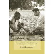 Thinking Small: The United States and the Lure of Community Development