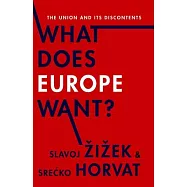 What Does Europe Want?: The Union and Its Discontents