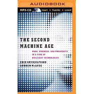 The Second Machine Age: Work, Progress, and Prosperity in a Time of Brilliant Technologies