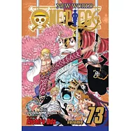 One Piece 73