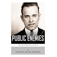 Public Enemies: Al Capone, John Dillinger, Bonnie & Clyde, and Baby Face Nelson