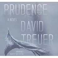 Prudence: A Novel; Library Edition