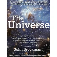 The Universe: Leading Scientists Explore the Origin, Mysteries, and Future of the Cosmos