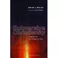 Subversive Christianity: Imaging God in a Dangerous Time