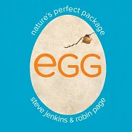 Egg: Nature’s Perfect Package