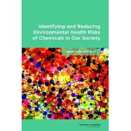Identifying and Reducing Environmental Health Risks of Chemicals in Our Society: Workshop Summary