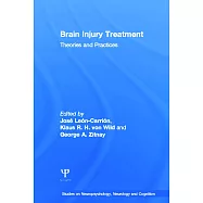 Brain Injury Treatment: Theories and Practices