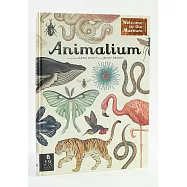 Animalium