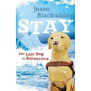 Stay: The Last Dog in Antarctica