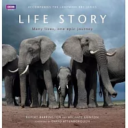 Life Story: Many Lives, One Epic Journey