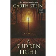 A Sudden Light