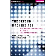 The Second Machine Age: Work, Progress, and Prosperity in a Time of Brilliant Technologies