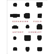 Antony Gormley: Expansion Field