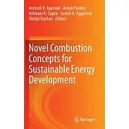 Novel Combustion Concepts for Sustainable Energy Development