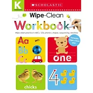 Wipe Clean Workbooks, Kindergarten