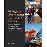 Risk Analysis and Control for Industrial Processes: Gas, Oil and Chemicals: A System Perspective for Assessing and