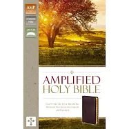 Amplified-Am: Captures the Full Meaning Behind the Original Greek and Hebrew