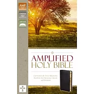 Amplified-Am: Captures the Full Meaning Behind the Original Greek and Hebrew