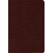 Amplified Holy Bible: Burgundy, Bonded Leather: Captures the Full Meaning Behind the Original Greek and Hebrew