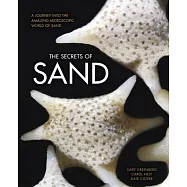 The Secrets of Sand: A Journey into the Amazing Microscopic World of Sand