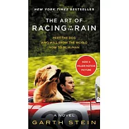 The Art of Racing in the Rain