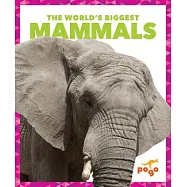 The World&rsquo;s Biggest Mammals